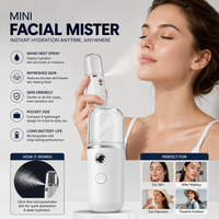 Portable Nano Facial Mist Sprayer