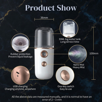 Portable Nano Facial Mist Sprayer